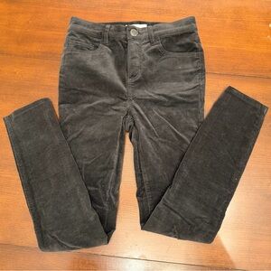 Ann Taylor LOFT Gray Corduroy Pants